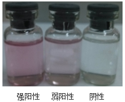 甲硝唑-瑞奇生物 甲硝唑-瑞奇生物